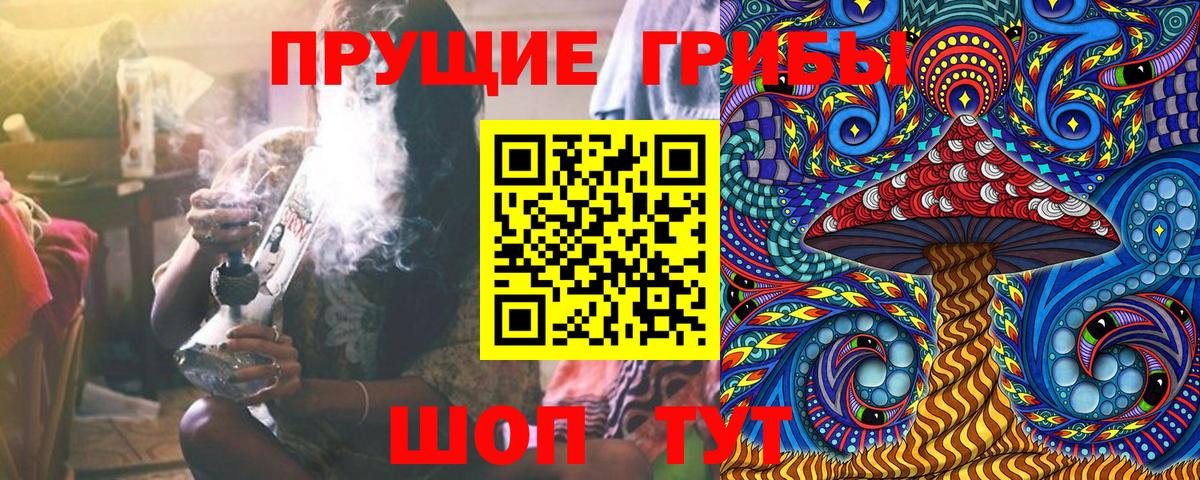 Галлюциногенные грибы GOLDEN TEACHER  Псилоцибиновые грибы мицелий  Бахчисарай  Вход с VPN 