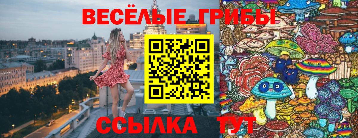 Галлюциногенные грибы Cubensis Бахчисарай